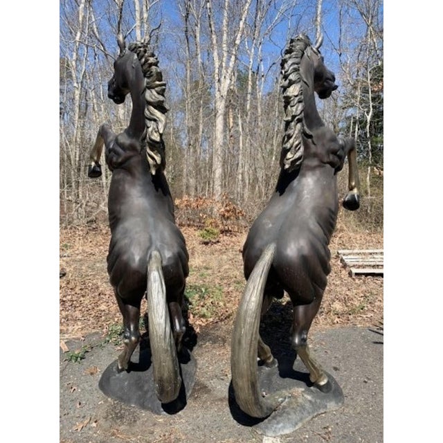 Black Mid 20th Century Bronze Horse Statues - Set of 2 For Sale - Image 8 of 10