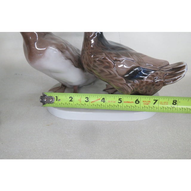 Rosenthal Bavaria Germany Pair of Ducks on Porcelain Base Figurine 4457b For Sale - Image 10 of 13