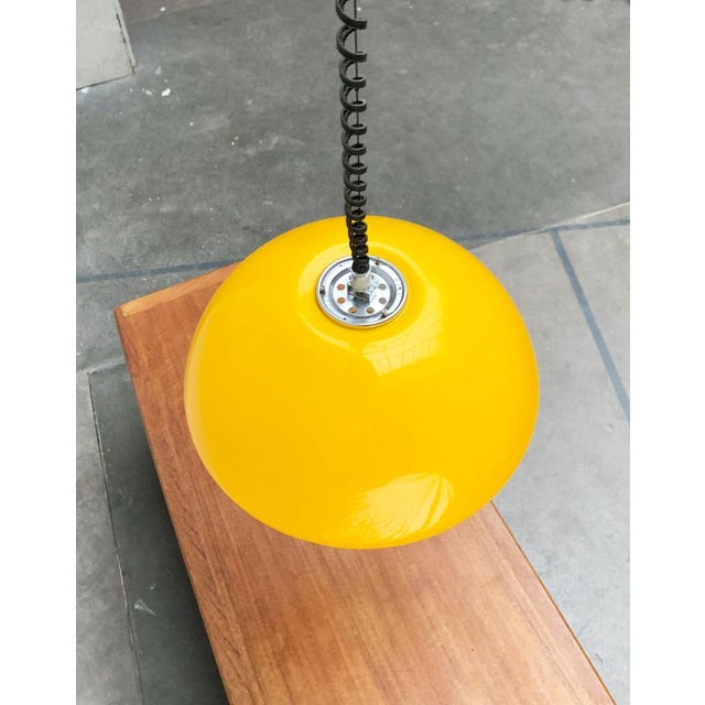 Mid-Century Space Age Cabras Pendant Lamp by Luigi Massoni for Guzzini, 1960s For Sale - Image 11 of 18