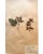 Rustic European Antique Swedish Herbarium Pressed Flower -European Red Raspberry, Circa 1921 For Sale - Image 3 of 8