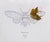 The artwork features a meticulously rendered cicada, blending pencil and ink with an oil-painted element that adds depth...