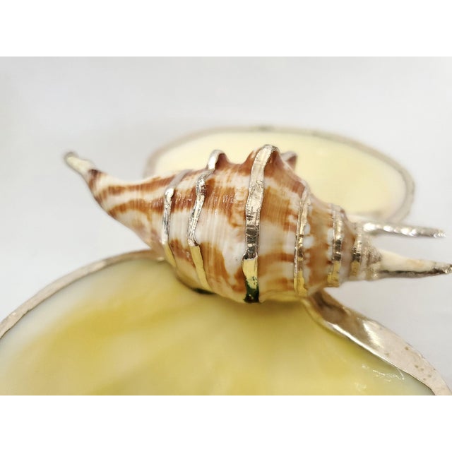 Caviar Dish Silver Dipped Real Shells Seashells For Sale - Image 11 of 14