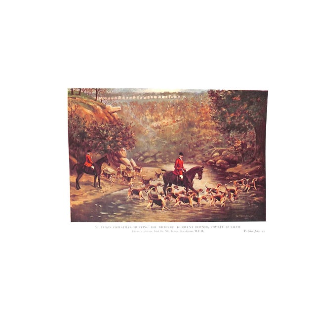 "The Foxhound of the Twentieth Century the Breeding and Work of the Kennels of England" 1914 Bradley, Cuthbert For Sale - Image 12 of 13