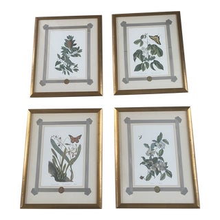 1980s Mark Catesby Hand-Colored Engraving Prints Set of 4 For Sale