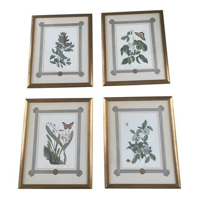 1980s Mark Catesby Hand-Colored Engraving Prints Set of 4 For Sale