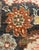 Middle Eastern Hand-Knotted Wool Rug, 1890s For Sale - Image 11 of 15