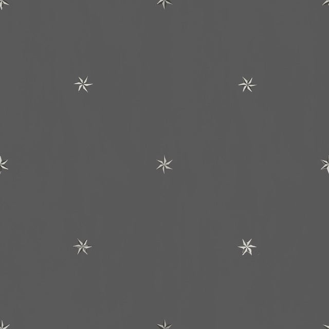Art Deco Sample - Etoiles Wallpaper by Paule Marrot in Gray For Sale - Image 3 of 3