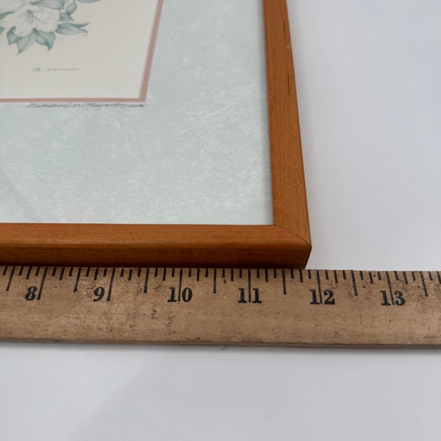 Margot Weemaes 1981 Rhododendron Fragrantissimum Botanical Portfolio Print For Sale - Image 9 of 11