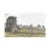 John Coward Lodge Moor Sheffield United Kingdom Watercolor For Sale