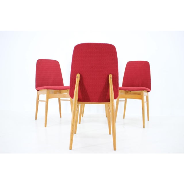 Brown Elm Dining Chairs, Czechoslovakia, 1960s, Set of 4 For Sale - Image 8 of 15