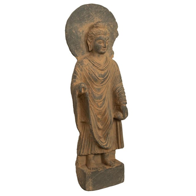 A rare and large ancient majestic carved stone Shakyamuni Buddha Statue, ancient region of Gandhara, Kushan Period,...