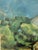 Plastic Cézanne “The Late Work” Exhibition Poster From the Museum of Modern Art, New York, Framed For Sale - Image 7 of 12