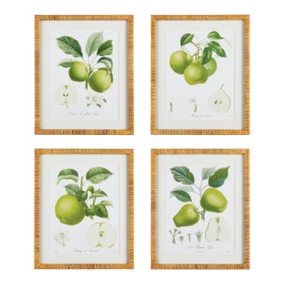 Fruit Study, Set Of 4 For Sale