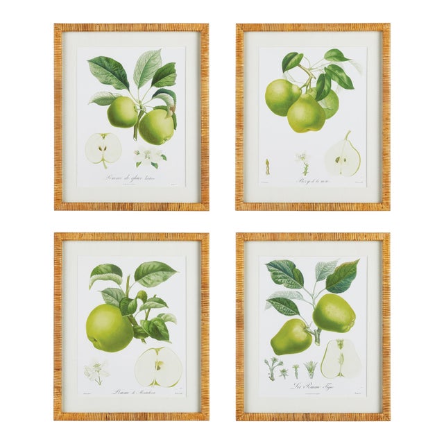 Fruit Study, Set Of 4 For Sale