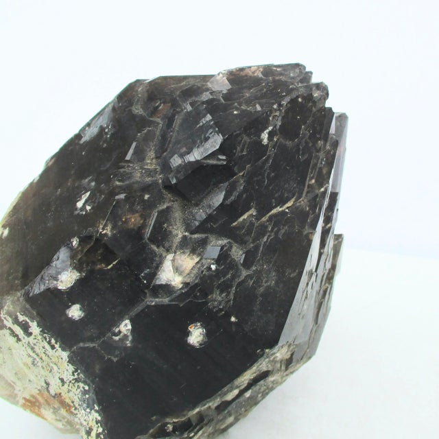 Mineral Specimen Black Quartz Crystal For Sale - Image 4 of 9