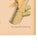 Printmaking Materials Walter Hood Fitch and Louis Van Houte 19th Century Botanical Print For Sale - Image 7 of 9