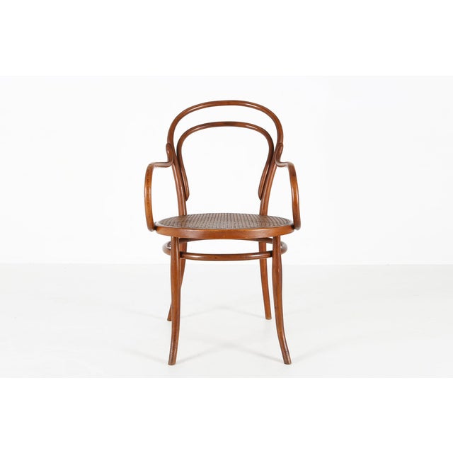 Brown Vintage Armchair in Bentwood with Canework, 1950 For Sale - Image 8 of 12