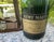 Vintage Champagne Cognac Display Bottle with Mahogany by Rémy Martin For Sale - Image 14 of 18