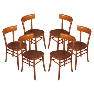 Mid-Century Modern Chairs from ISA Bergamo, Set of 6 For Sale