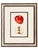 Original Antique 1903 Usda York Imperial Apple Chromolithograph | Lyons Ltd. Provenance | Armand Lee Custom Framing | Bertha Heiges For Sale - Image 15 of 16