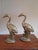 Pair of Brass Crane Birds For Sale - Image 4 of 6