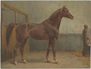 Otto Eerelman, Hanoverian Horse, 1898, Chromolithograph