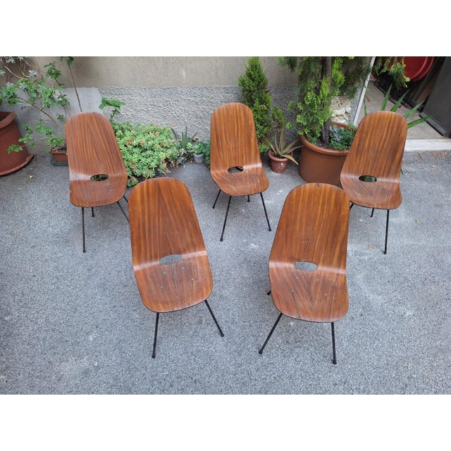 Medea Chairs with Straight Backrests by Vittorio Nobili for Medea, 1950s, Set of 5 For Sale - Image 11 of 11