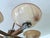 Large Art Deco Pendant Light in Wood and Glass, 1930s For Sale - Image 15 of 18