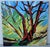 Large 48" × 48" Original Expressionist Tree Painting, 1998, Vibrant Colorful Landscape from La Jolla Estate This striking...