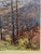 Arno Haag, Autumnal Low Mountain Landscape with Trees, Oil Painting on Canvas For Sale - Image 9 of 13