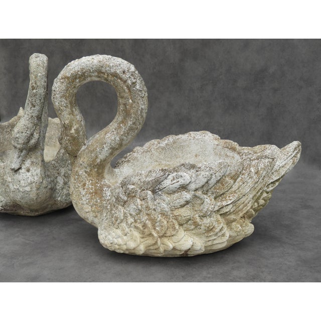Large French Swan Garden Planters, 1950s, Set of 2 For Sale - Image 4 of 10