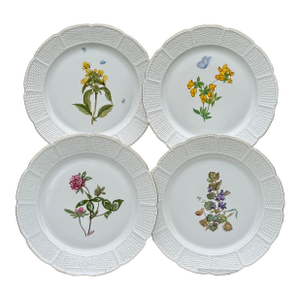 Four Nymphenburg Porcelain Botanical Plates