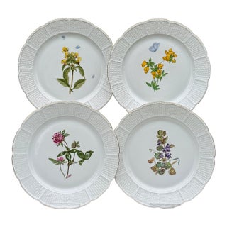 Vintage Nymphenburg Porcelain Botanical Plates – Set of Four For Sale