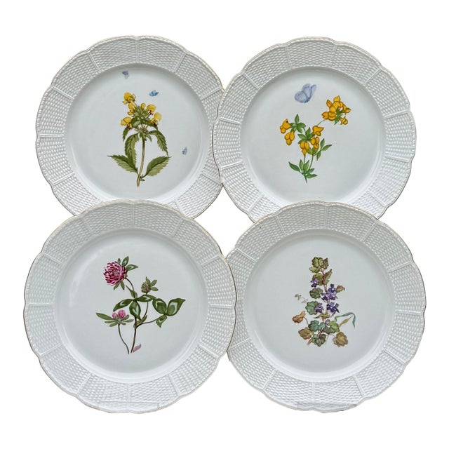 Vintage Nymphenburg Porcelain Botanical Plates – Set of Four For Sale