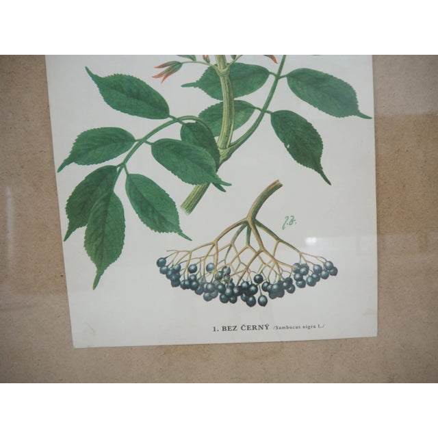 Mid-Century Modern School Poster, Czechoslovakia, 1960s For Sale - Image 3 of 5