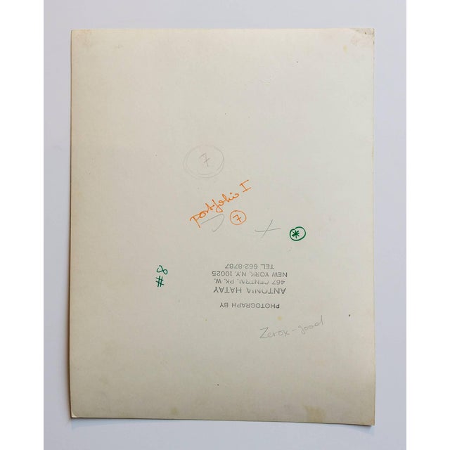 Hatay is a visual artist, a healer and a former Rock and Roll photojournalist. Born in Scotland of a Hungarian...