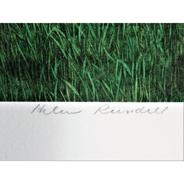 Late 20th Century Helen Rundell, Cornucopia, 1987 For Sale - Image 5 of 7