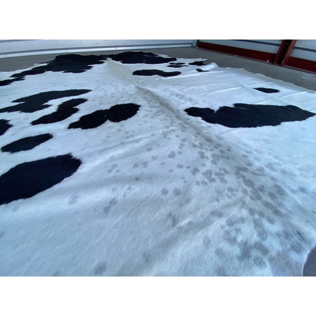 Contemporary Extra Large Natural Champagne & Black Brazilian Cowhide 94" X 112" For Sale - Image 3 of 5