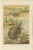 P. J. Smit, Soft River Tortoises, 1895, Lithograph For Sale - Image 9 of 9