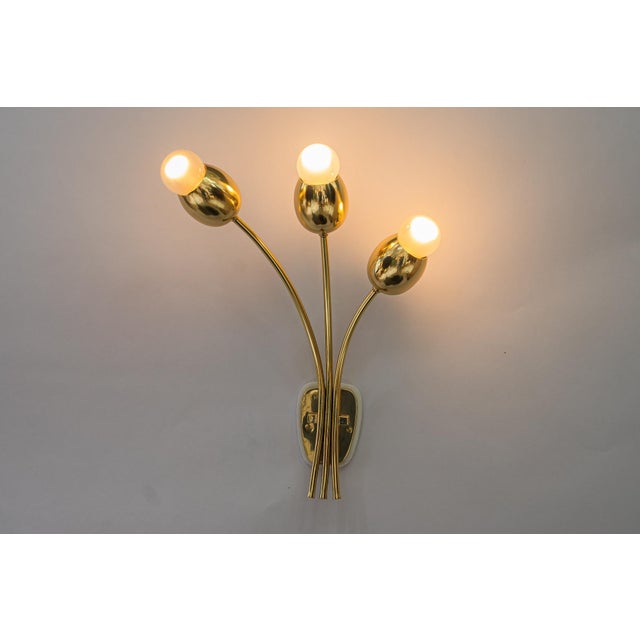 Rupert Nikoll Wall Sconces by Rupert Nikoll for Rupert Nikoll, Vienna, 1950s For Sale - Image 4 of 9