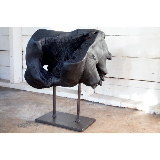 Contemporary Matka Yakisugi Abstract Modern Organic Sculpture For Sale - Image 3 of 10