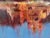 Mid 20th Century Mid Century Abstract Landscape Painting by Donald Weismann Titled "Fall Out" For Sale - Image 5 of 11