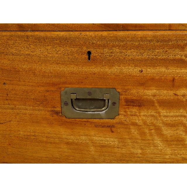 English Campaign 19th Century Camphor Wood Low Chest with Inset Brass Hardware For Sale - Image 4 of 12