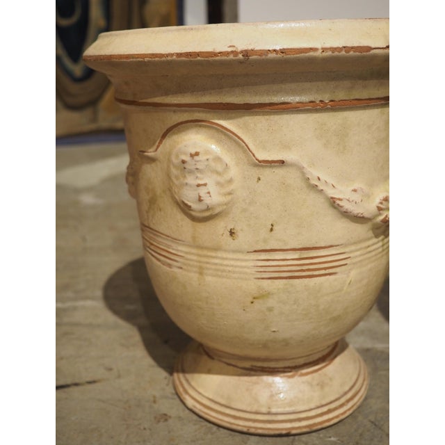 Pair of Small, Cream Colored Terra Cotta Pots From Anduze, France For Sale - Image 11 of 18