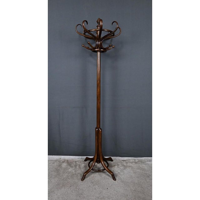 Early 20th Century Parrot Coat Rack in Beechwood, 1890s For Sale - Image 16 of 18