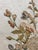 Biedermeier Floral Painting Embroidery For Sale - Image 3 of 9