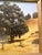 Goldenrod Mid 20th Century Richard Danskin Original Oil Painting Horse Farm Barn Rustic Landscape Carmel California For Sale - Image 8 of 12