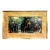 Mid-Century American Expressionist Painting “Truck Evolution” For Sale