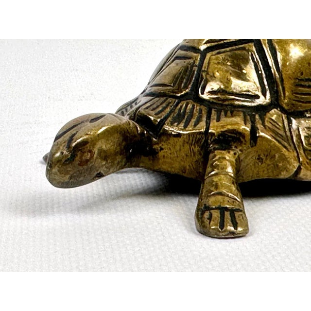 1940s Vintage Brass Turtle Figurine from Dinant, 1960s For Sale - Image 5 of 11