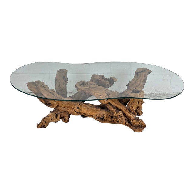 Mid 20th Century Olive Root Driftwood Coffee Table For Sale